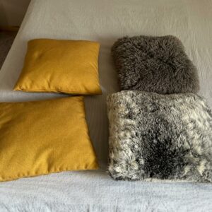 5 coussins décoratifs 3€ unitaire